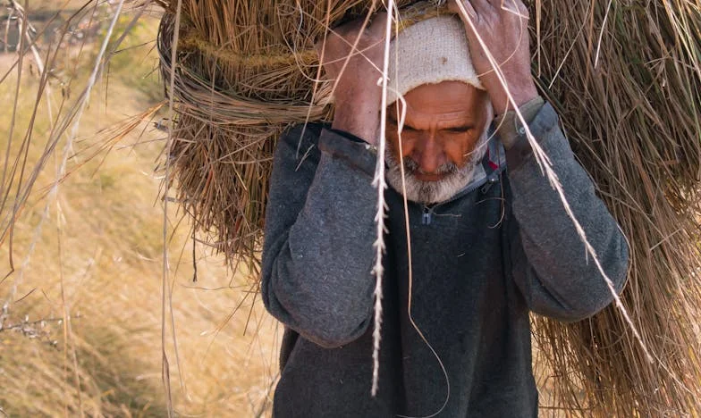 Synowa tajemnica: Ile kosztuje matczyna miłość?