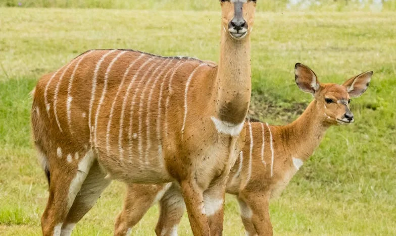 „To już koniec?” – Historia polskiej kobiety na krawędzi rozwodu
