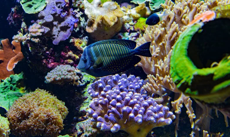 Kiedy Tomek odszedł do młodszej: Moja pierwsza chwila wolności po trzydziestu latach małżeństwa