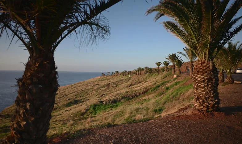 Między dwiema rodzinami: Moja walka o własne miejsce w domu teściowej