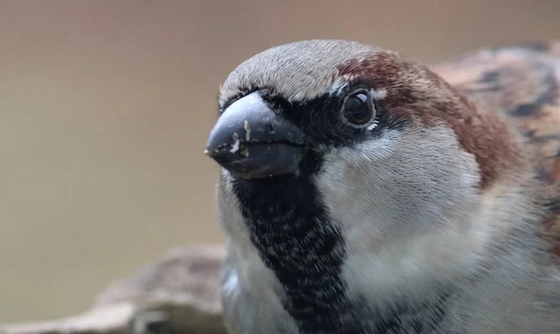 Pod jednym dachem, bez wolności: Moja walka o siebie – historia Katarzyny z Warszawy