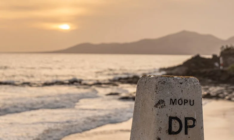 Powrót do domu: Jak jedno spotkanie zmieniło wszystko