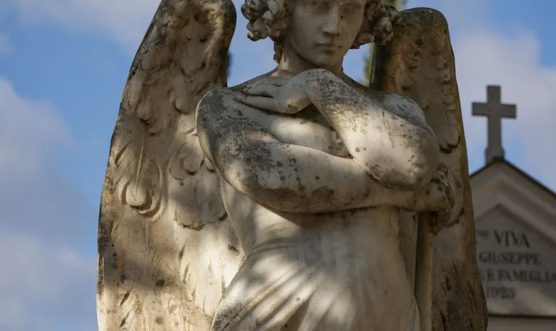 Prawda za pustym weselem: Moje wyznanie, które podzieliło rodzinę