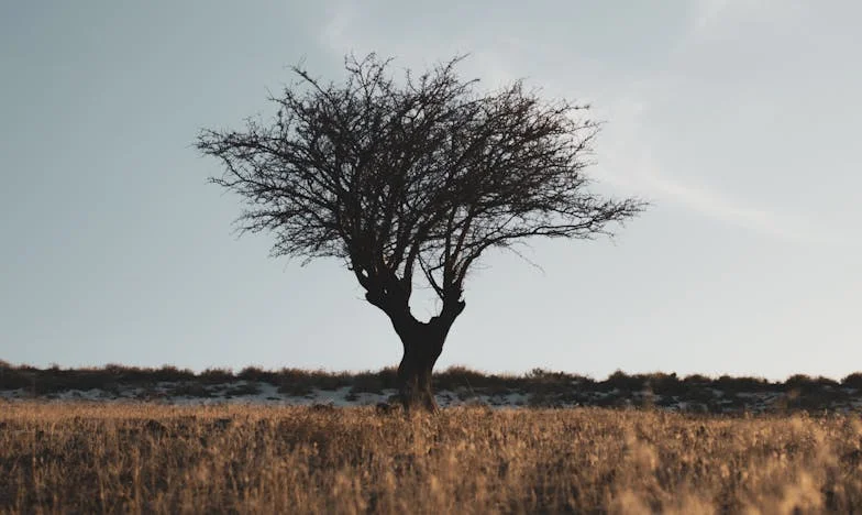 Wyrzucona z domu, którego byłam częścią: Moja walka o prawdę i godność