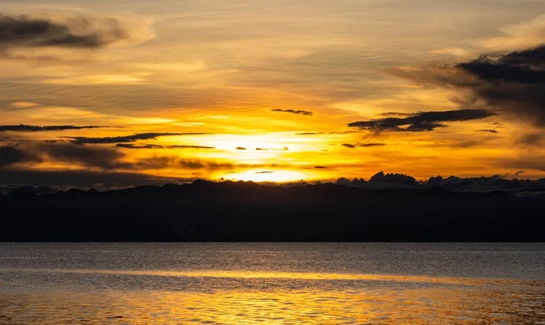 Z popiołów: Historia Magdy, która musiała zacząć od nowa po zdradzie i upokorzeniu