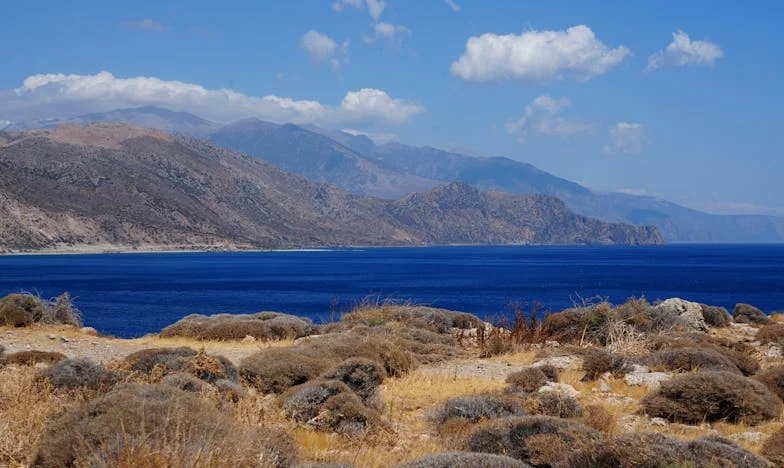 Είχα το δικαίωμα να διώξω την πεθερά μου από το σπίτι; Η ιστορία μιας οικογενειακής σύγκρουσης που άλλαξε τη ζωή μου
