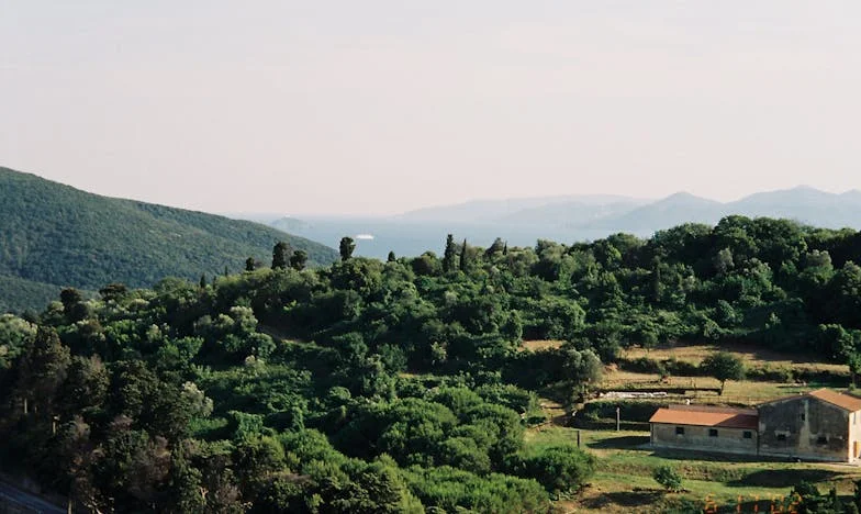 Μέσα στη Νύχτα, με μια Βαλίτσα και τα Παιδιά μου: Πώς Ξεκίνησα από την Αρχή στην Ελλάδα