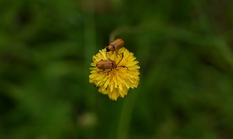 Денот кога Марија дојде со синот: Посета што го смени мојот дом