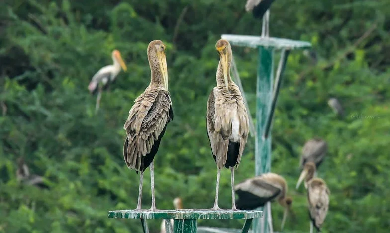 Мојата борба против љубовта на мојот син: Приказна за каење и простување