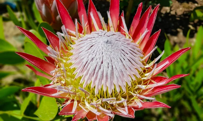 Шеесеттиот роденден на Јован: Ноќта кога ми се сруши светот