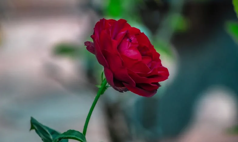 Синот ми има 35 години, сопствено семејство, а сè уште бара пари од нас: Дали јас сум виновна?