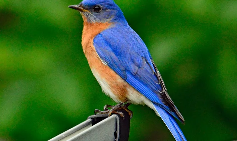 Скриените писма што ја разнишаа мојата брачна идила