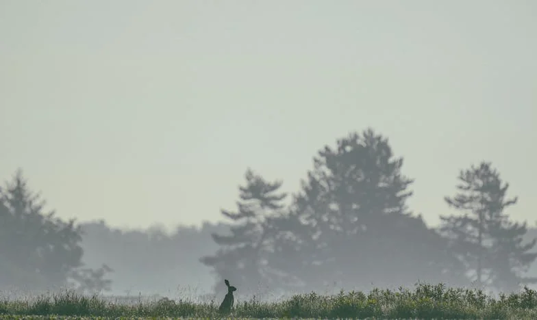 Тешката одлука: Кога ја вратив мајка ми дома, срцето ми се скрши