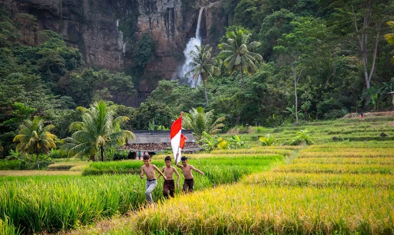 Чудната дадилка: Кога довербата станува сомнеж