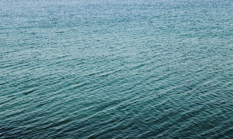 Djedo, zašto ne želiš da nam bude bolje?