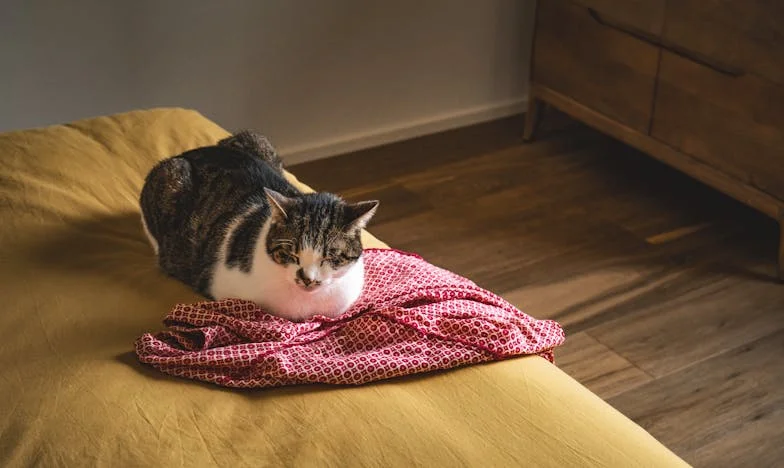 Изневерена во сенката на болеста: Мојата борба за себе по дијагнозата и распадот на семејството