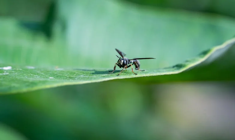 Kad se snovi o miru pretvore u noćnu moru: Život pod istim krovom s punicom