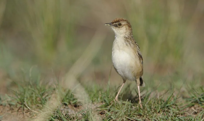 Kad ti prijatelj okrene leđa: Ispovijest jedne povrijeđene duše