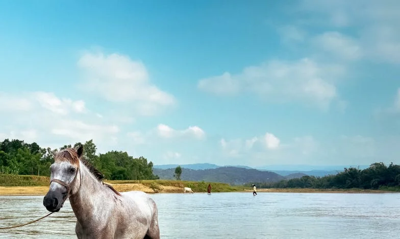 Kad Zvono Zazvoni Bez Najave: Priča o Granicama i Porodici