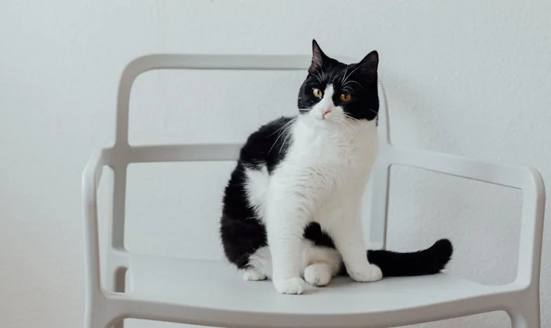 Куќата покрај Вардар: Цената на моите соништа