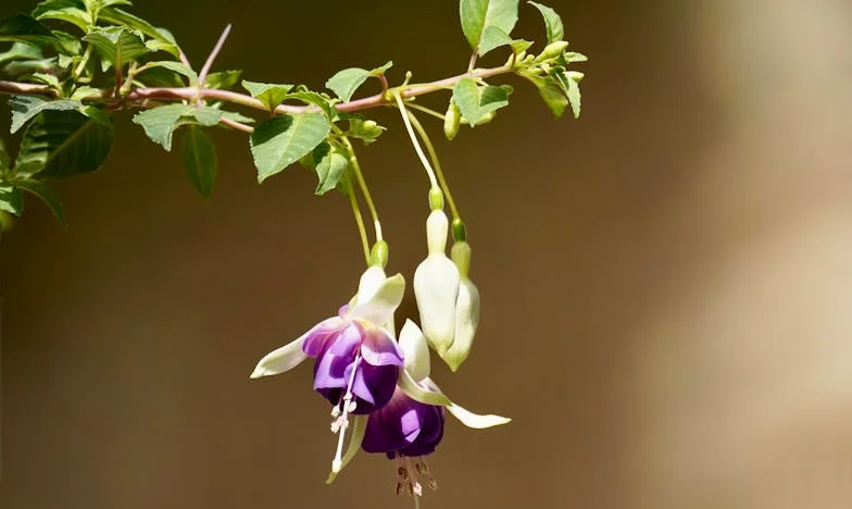 Љубов по разделбата: Зошто децата не се пречка за среќата