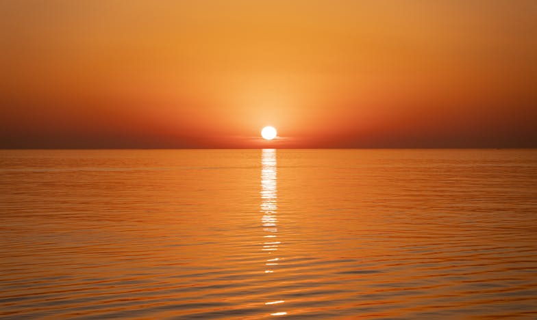 Непознат во мојот дом: Судирот меѓу минатото и сегашноста