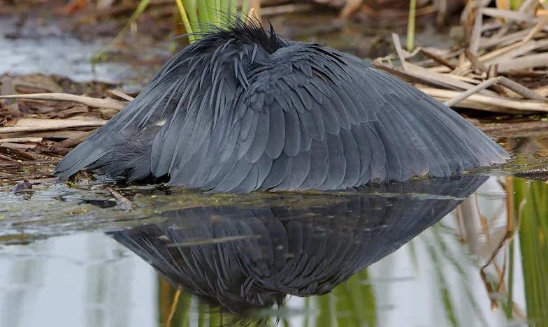 Ostavio me s djetetom i dugovima, a sada njegova majka traži da mu oprostim