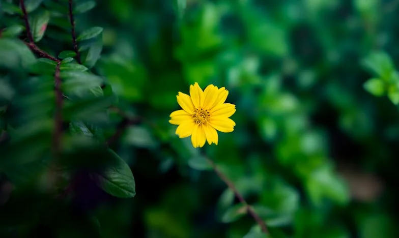 Подарок што ги менува сите правила