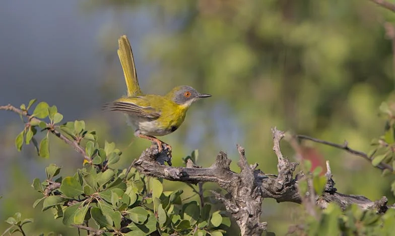 Преку незатворените прозорци: Животот на Јадранка меѓу тишината и вистината