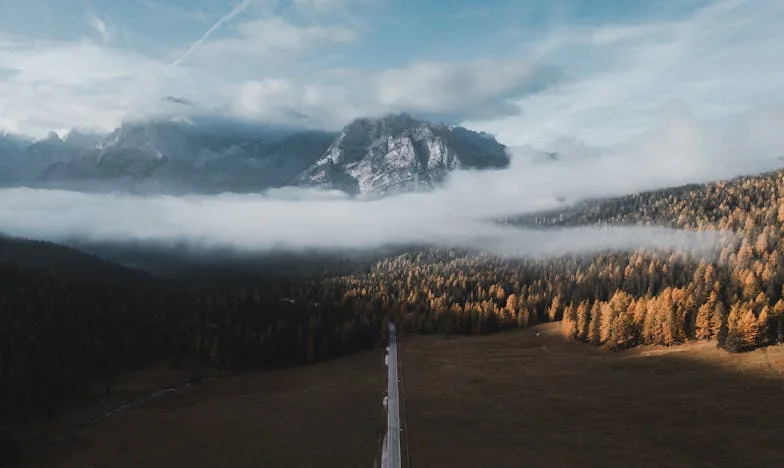 Сенката во Ходникот: Денот кога ја однесов мајка ми во дом за стари лица