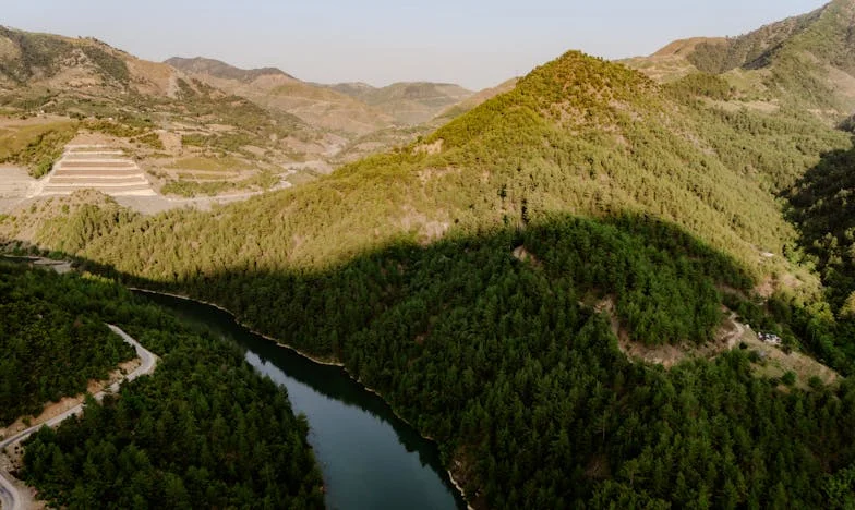 Скршена стаклена градина и женска итрина: како една лага замалку не уништи две семејства