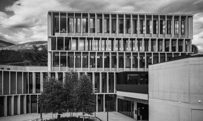 U sjeni sestre: Priča o izgubljenim godinama i neizrečenim riječima