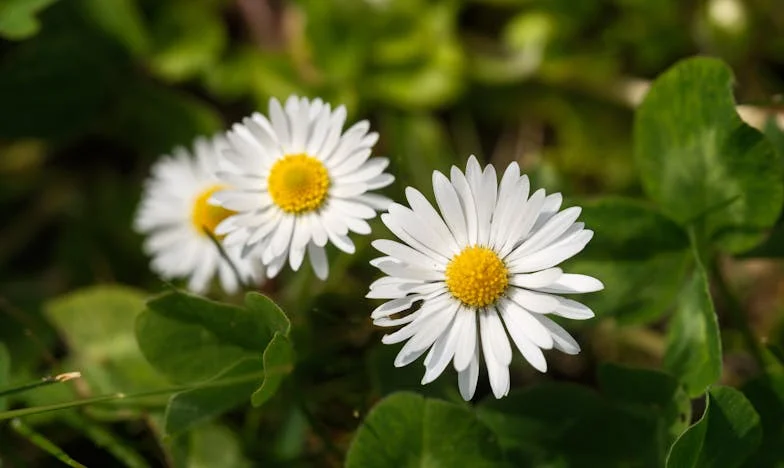 „Веќе не си ми мајка“: Како ќерка ми го скрши срцето на жената што ѝ го подари целиот свој живот
