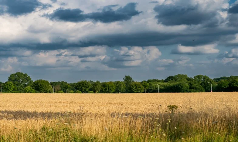 Bivša svekrva na mojoj strani: Kako je baka spasila mog sina