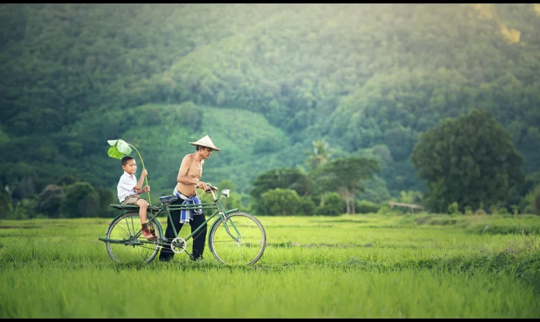 Čudo u Sarajevu: Povratak iz tame nakon dvadeset mjeseci