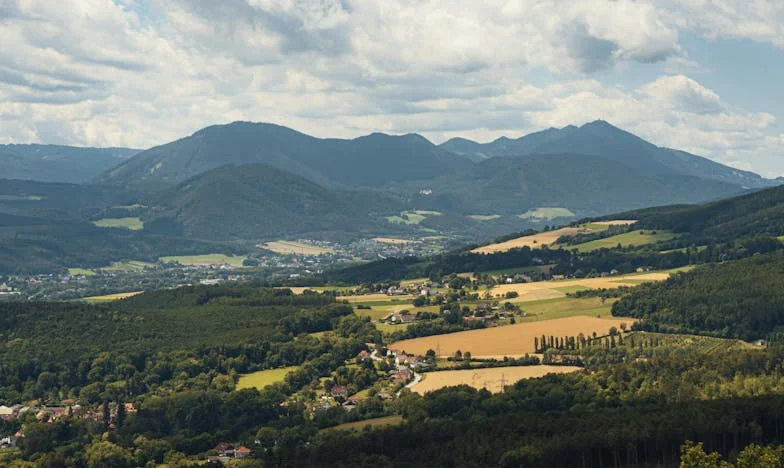 Dida Ivo i ja: Kad pomoć postane spas