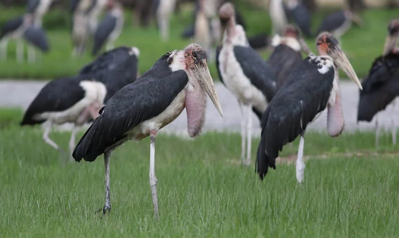 Ispod Iste Krovne Ploče: Kako Sam Preživjela Izdaju Sestre