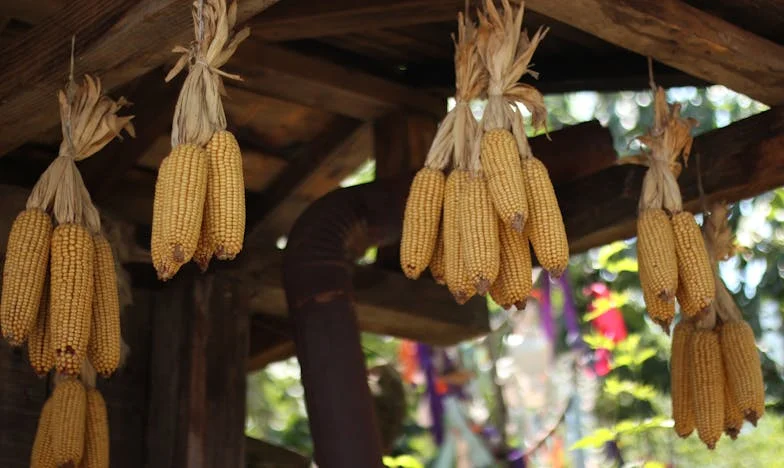 Između Dva Doma: Potraga za Novim Domom za Dida Ivana