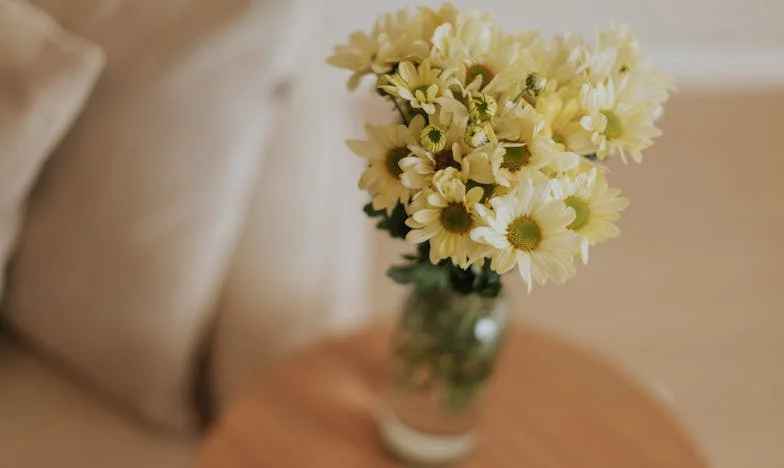 Između Sina i Njegove Ljubavi: Majčina Borba za Obitelj