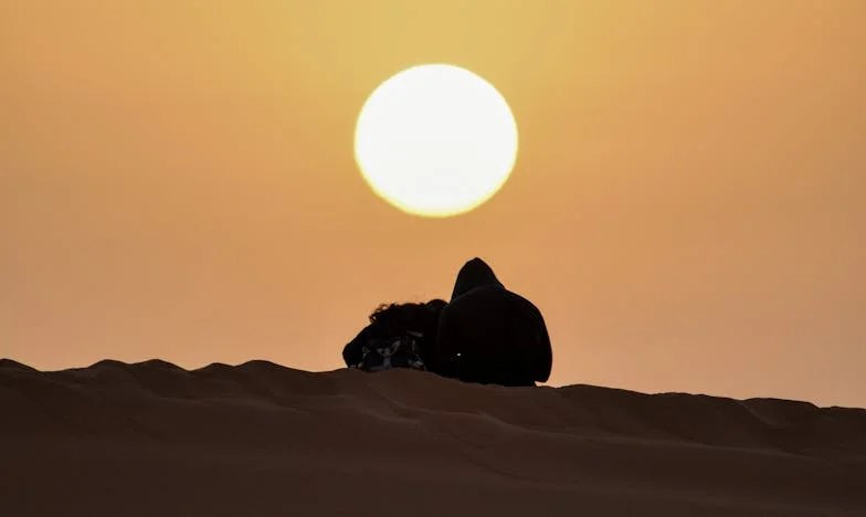 Između Snova i Očekivanja: Priča o Leni i Elektronici