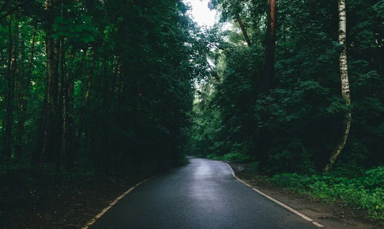 Kad srce progovori nakon pedesete: Povratak staroj ljubavi i novi početak