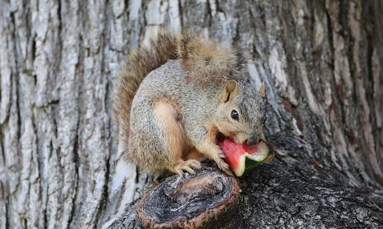 Kad Sreća Postane Teret: Priča o Ocu i Sinu u Zagrebu