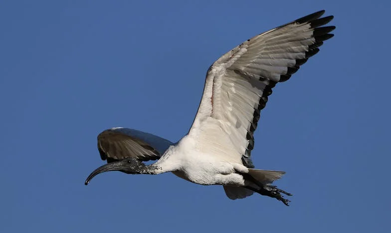 Kad ti kolega uzme zadnju kunu: Priča o povjerenju i razočaranju
