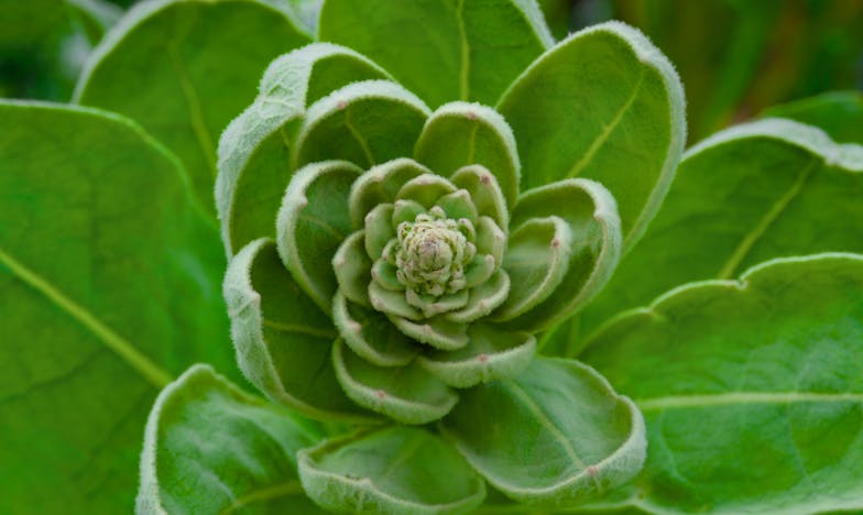 Kad ti sin traži hipoteku: Srce na vagi između ljubavi i razuma