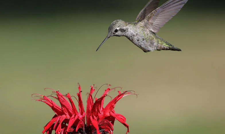 Moja djeca su me pozvala da ostanem, ali su mi skoro prodala kuću iza leđa
