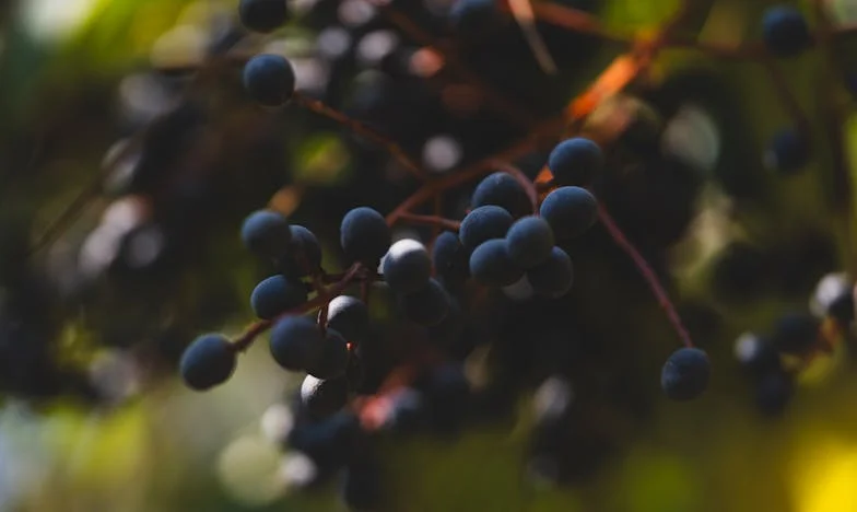Moja kćerka je skoro rodila u kuhinji dok je kuhala večeru: Priča o izgubljenim prioritetima i porodičnim ranama