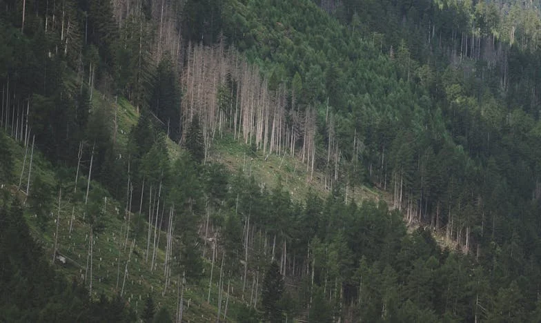 Moja sestra je žrtvovala sve za svoju djecu, a kad joj je bilo najteže, ostala je sama