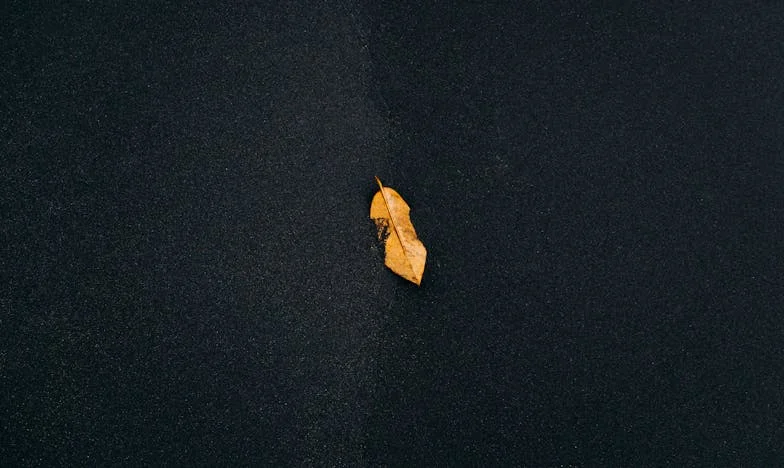 Naša kuća bez tuđe pomoći: Kako smo Mirela i Dario izgradili dom bez roditeljskog novca