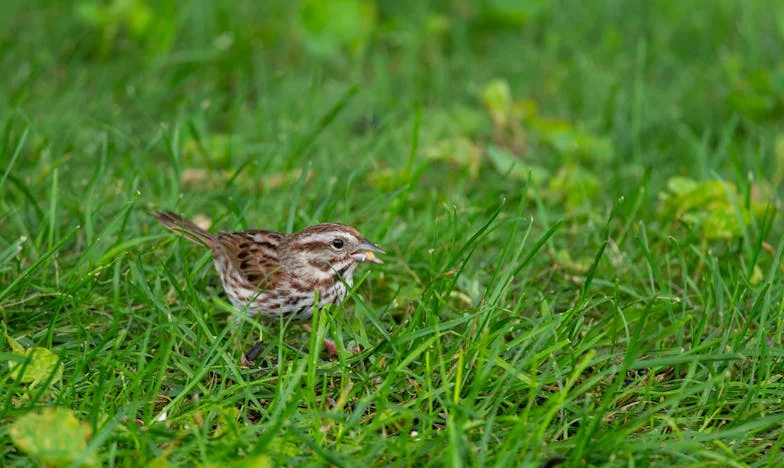 Neželjeni gost za stolom: Večer koja je promijenila sve