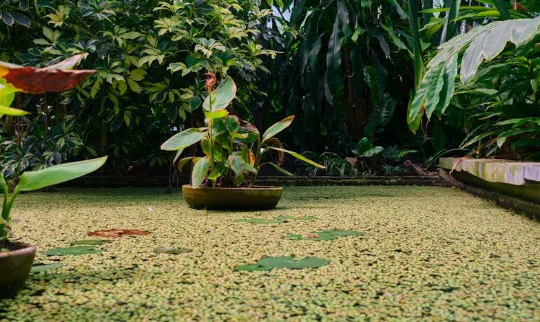 Oni jedu delicije, mi kašu: Gdje je pravda?